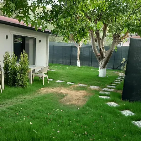 Kaya Koey * 페티예