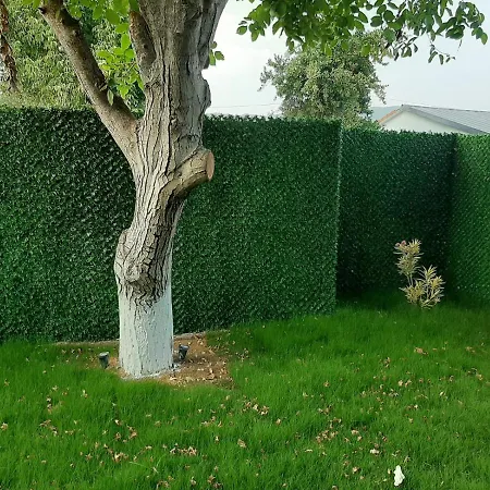 아파트호텔 Kaya Koey 페티예